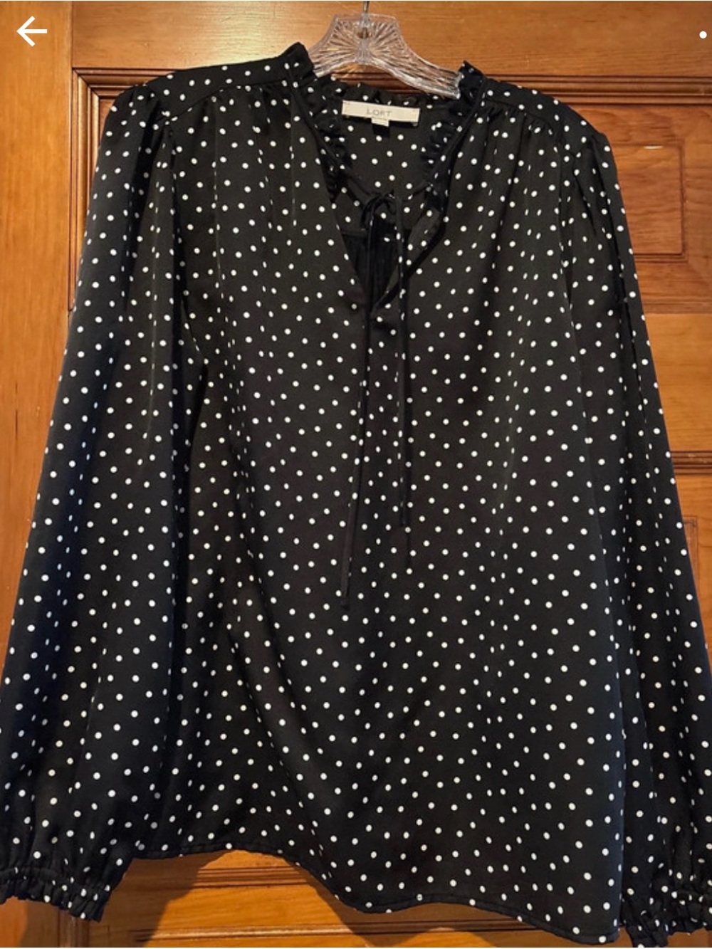 Ann Taylor Black and White Polka Dot Tie-Neck Blouse